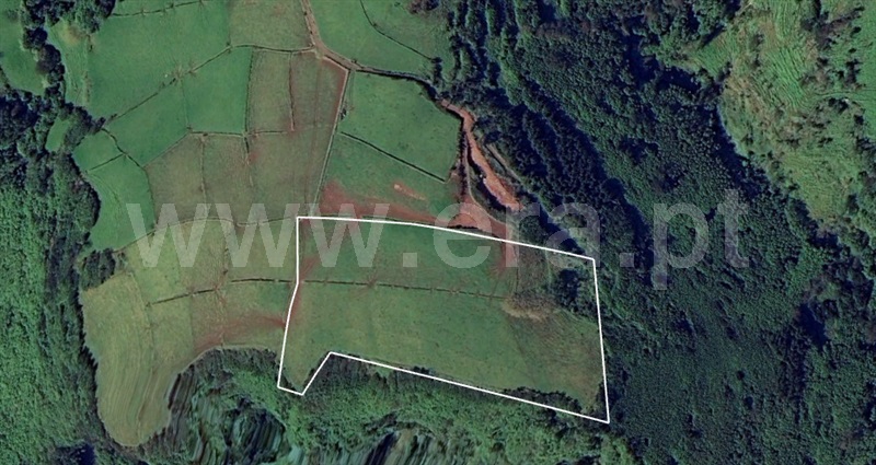 Terreno Rústico  Lajes das Flores, Lomba - 1491828 - 2