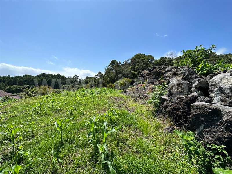 Terreno Rústico / Lajes do Pico, Lajes do Pico