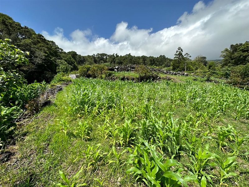 Terreno Rústico  Lajes do Pico - 1336117 - 6