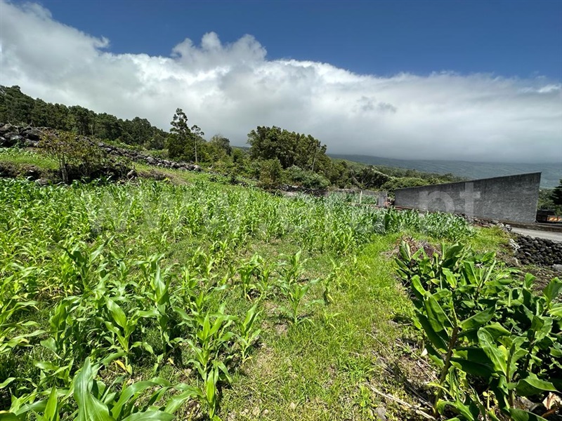 Terreno Rústico  Lajes do Pico - 1336117 - 7