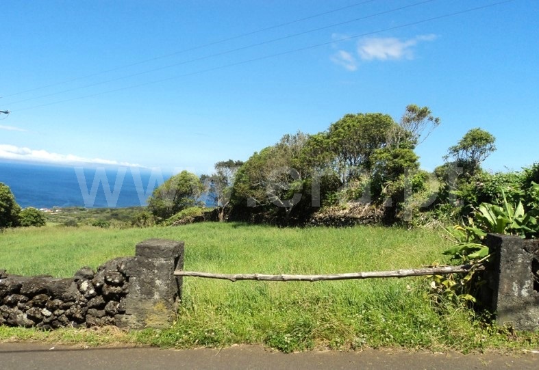 Terreno Rústico  Lajes do Pico, Piedade - 1275646 - 1