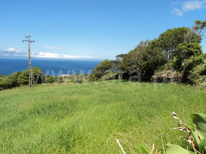 Terreno Rústico  Lajes do Pico, Piedade - 1275646 - 5