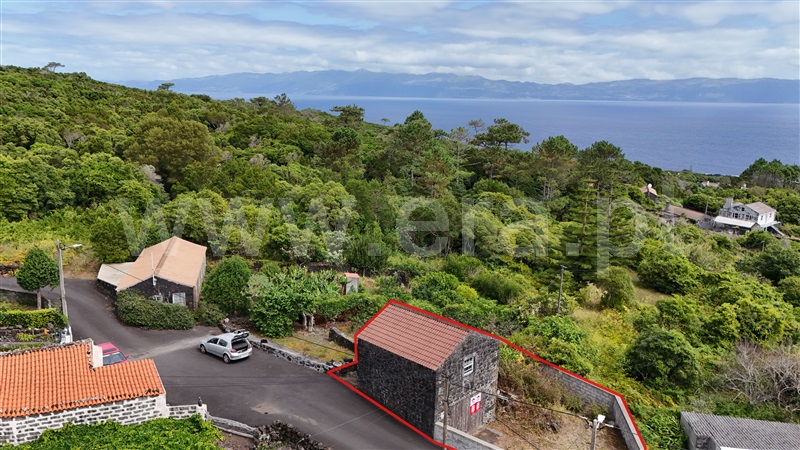 Terreno Rústico  Lajes do Pico, Piedade - 1494474 - 3