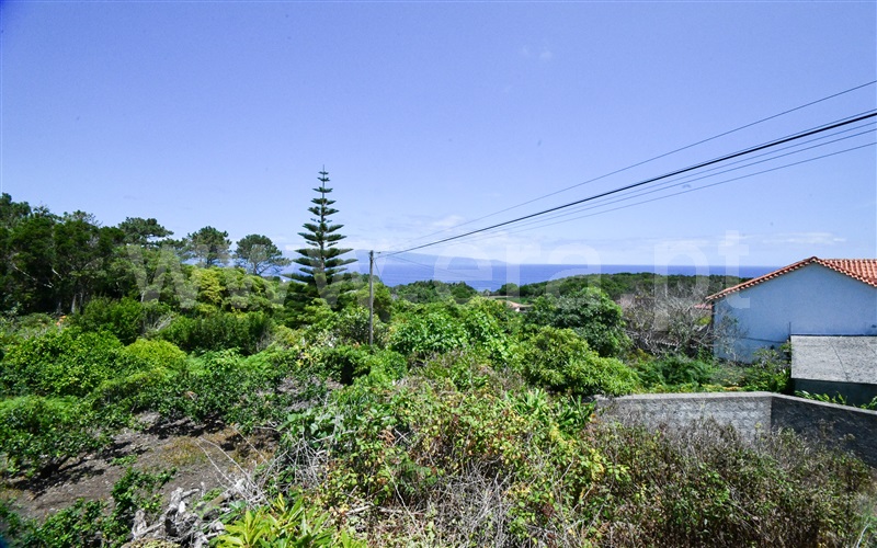Terreno Rústico  Lajes do Pico, Piedade - 1494474 - 5
