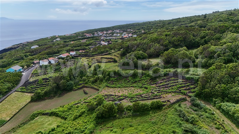 Terreno Rústico  Lajes do Pico, Ribeirinha - 1475552 - 5