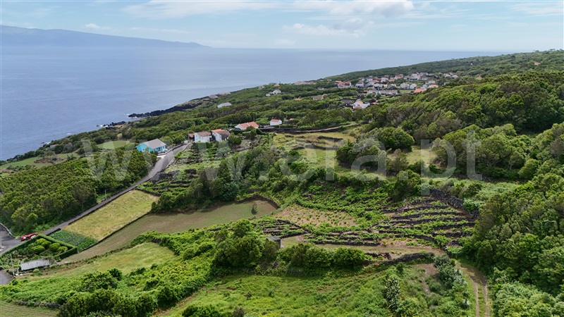 Terreno Rústico / Lajes do Pico, Ribeirinha