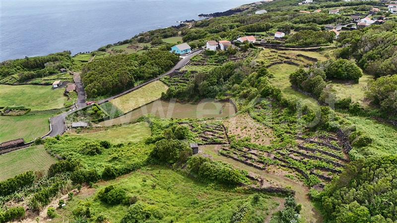 Terreno Rústico  Lajes do Pico, Ribeirinha - 1475552 - 8