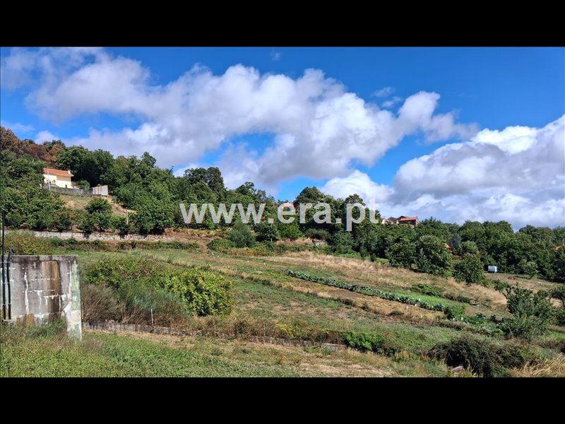 Terreno Rústico / Lamego, Bigorne, Magueija e Pretarouca