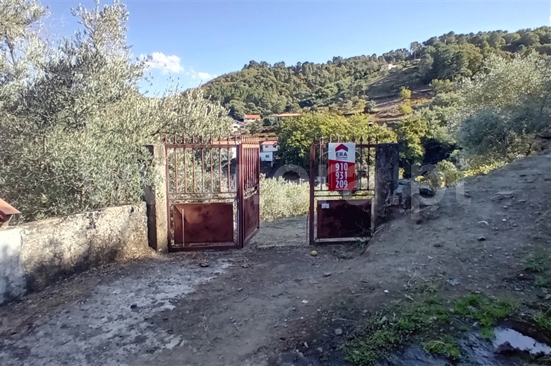 Terreno com ruina T0 Lamego, Avões - 1461059 - 1