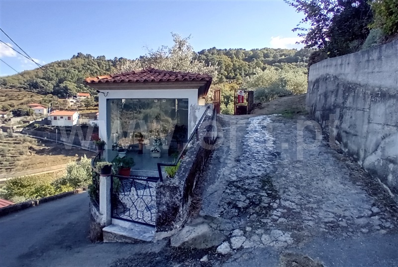Terreno com ruina T0 Lamego, Avões - 1461059 - 2