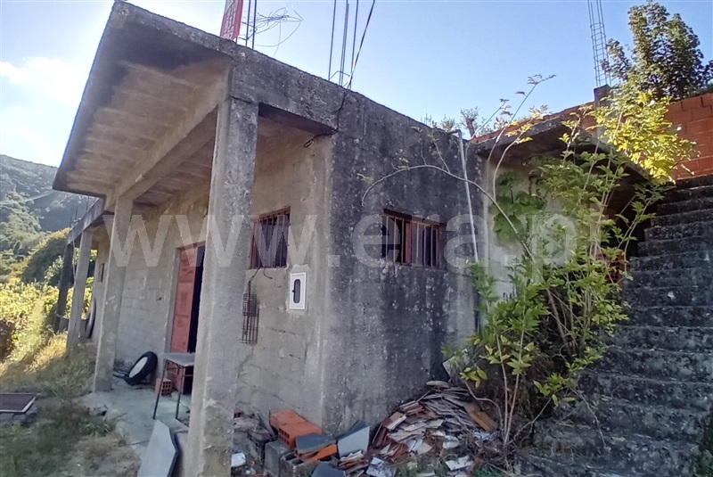 Terreno com ruina T0 Lamego, Avões - 1461059 - 3