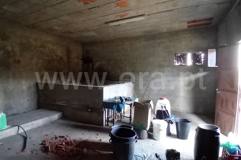 Terreno com ruina T0 Lamego, Avões - 1461059 - 4