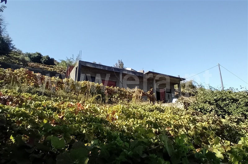 Terreno com ruina T0 Lamego, Avões - 1461059 - 7