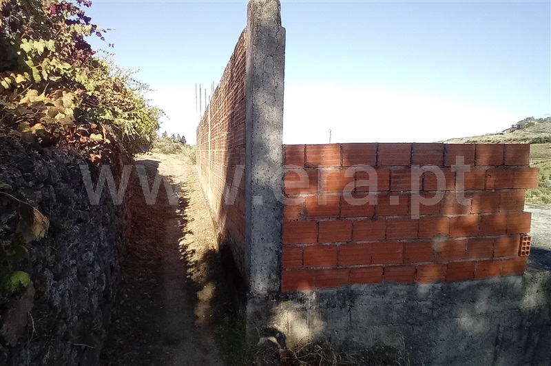 Terreno com ruina T0 Lamego, Avões - 1461059 - 8