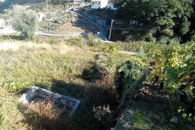 Terreno com ruina T0 Lamego, Avões - 1461059 - 15