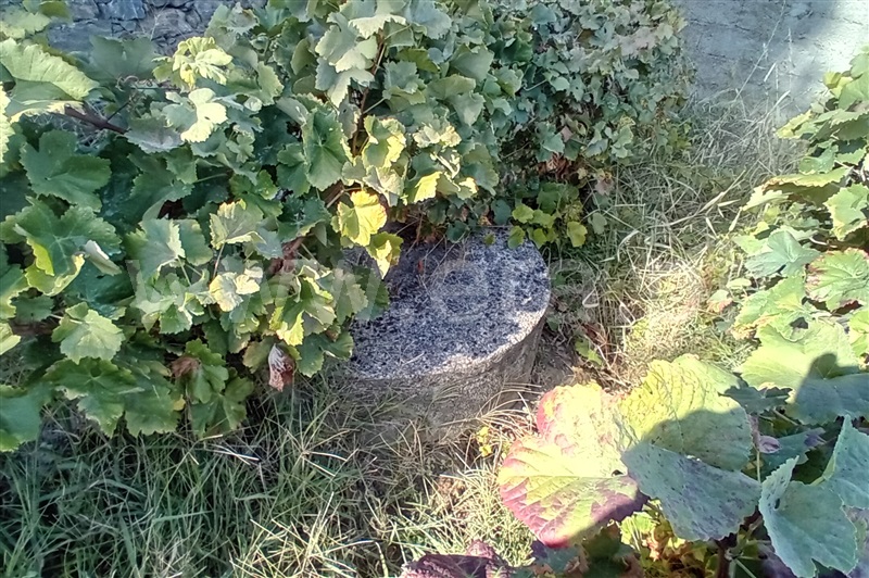 Terreno com ruina T0 Lamego, Avões - 1461059 - 17