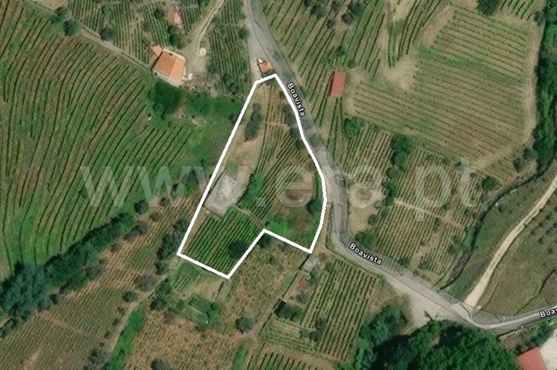 Terreno com ruina T0 Lamego, Avões - 1461059 - 20