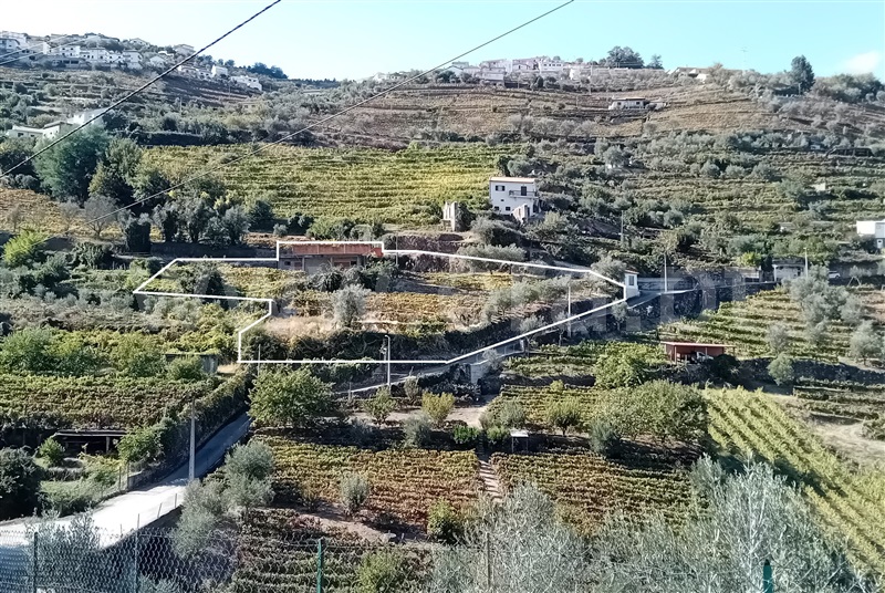 Terreno Rústico / Lamego, Douro