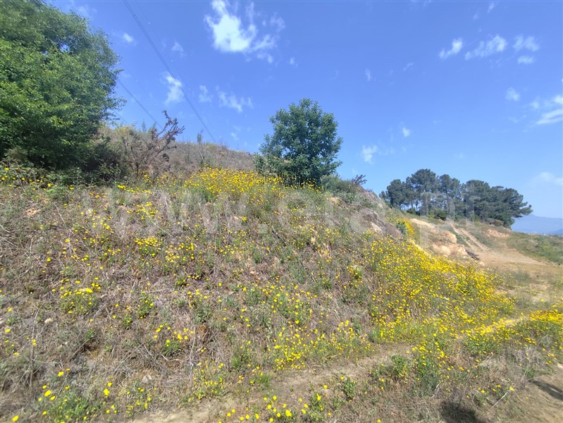 Terreno Rústico  Lamego, Lamego (Almacave e Sé) - 1485446 - 4
