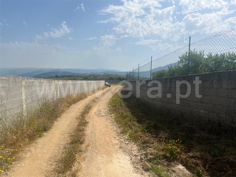 Terreno Rústico  Lamego, Lamego (Almacave e Sé) - 1485446 - 7