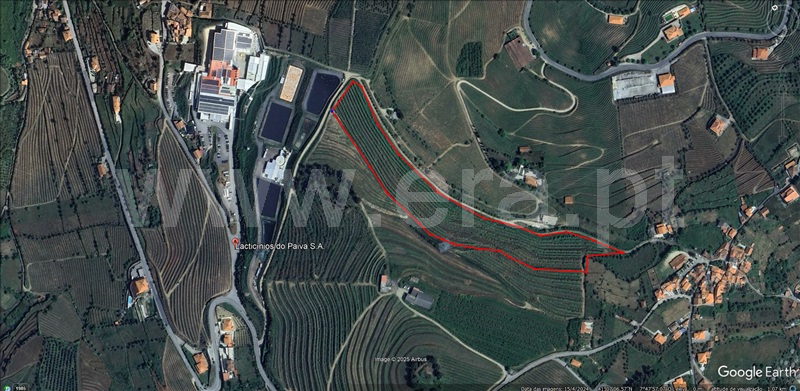 Terreno Rústico  Lamego, Lamego (Almacave e Sé) - 1485446 - 10