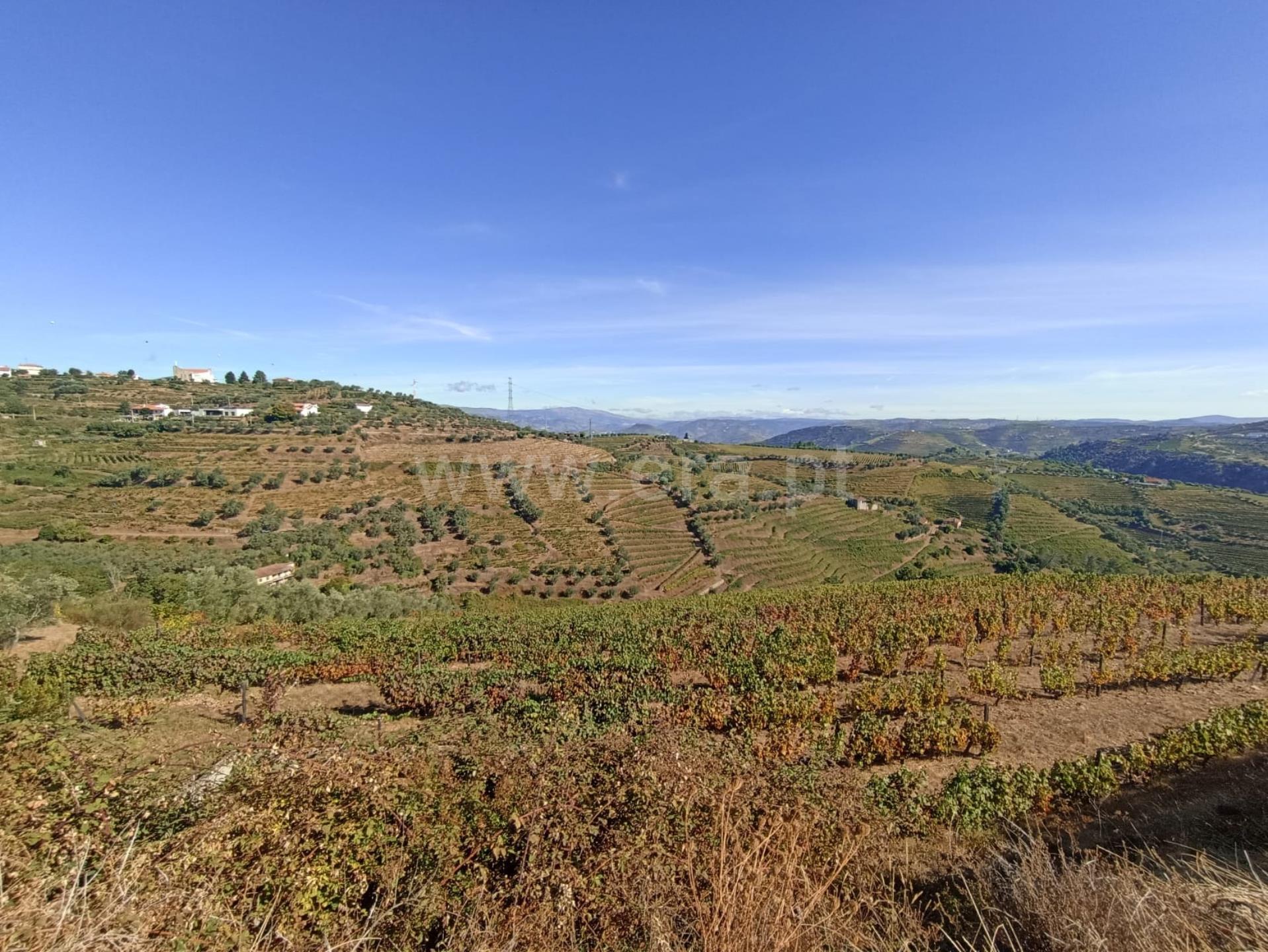 Land for sale in Lamego, Portugal — €88,000