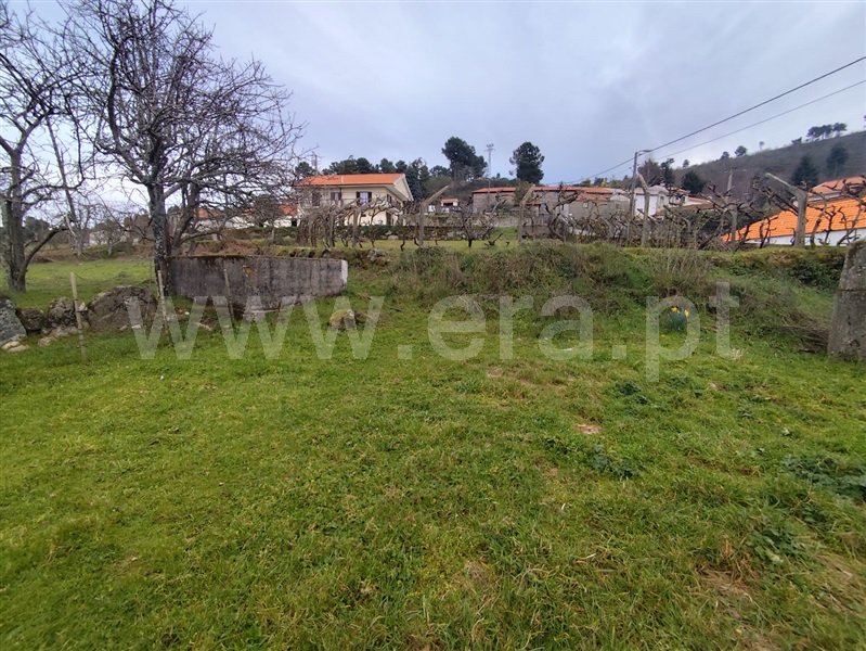 Terreno Rústico  Lamego, Samodães - 1463314 - 12