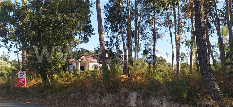 Terreno Rústico  Leiria, Santa Catarina da Serra e Chainça - 1190089 - 5