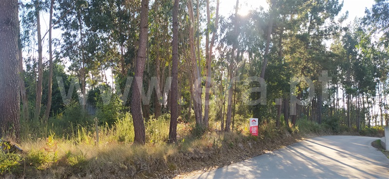 Terreno Rústico  Leiria, Santa Catarina da Serra e Chainça - 1190089 - 7