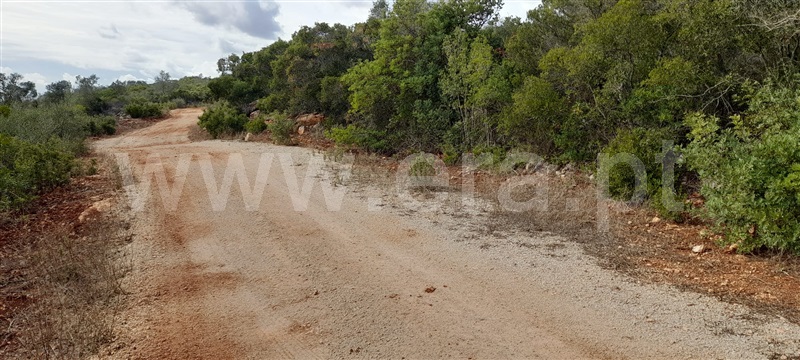 Azenha  com Vista Mar Loulé, Alte - 1366537 - 5