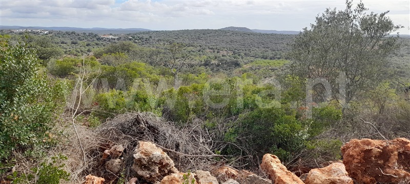 Azenha  com Vista Mar Loulé, Alte - 1366537 - 8