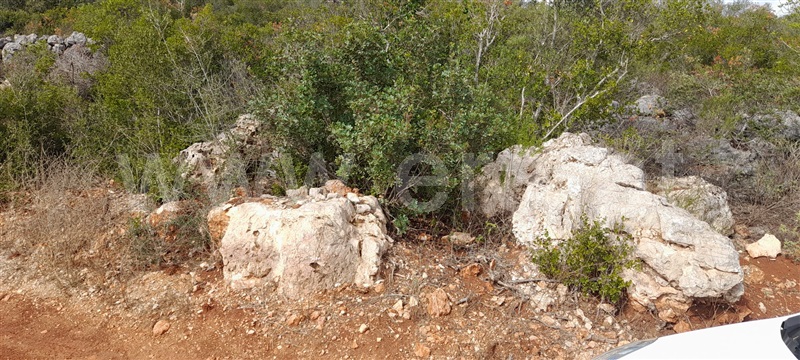Azenha  com Vista Mar Loulé, Alte - 1366537 - 10