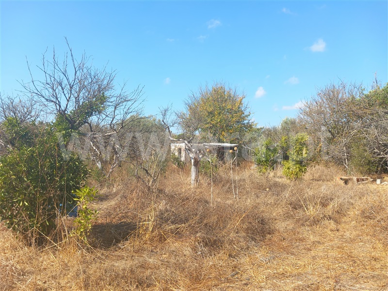 Terreno Rústico / Loulé, Boliqueime