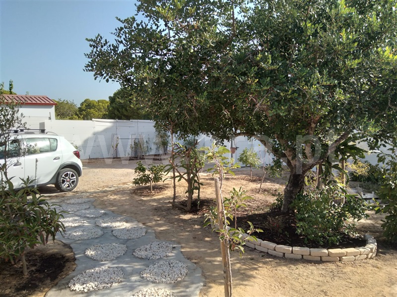 Terreno Rústico  Loulé, Quarteira - 1511377 - 3