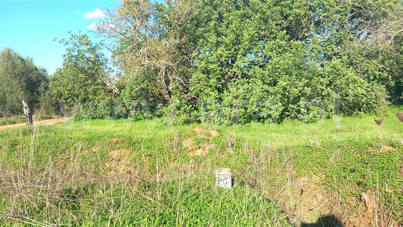 Terreno Rústico / Loulé, Quarteira