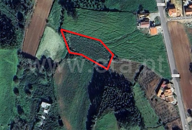 Terreno Rústico / Lourinhã, Lourinhã