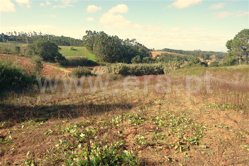 Terreno Rústico / Lourinhã, Lourinhã