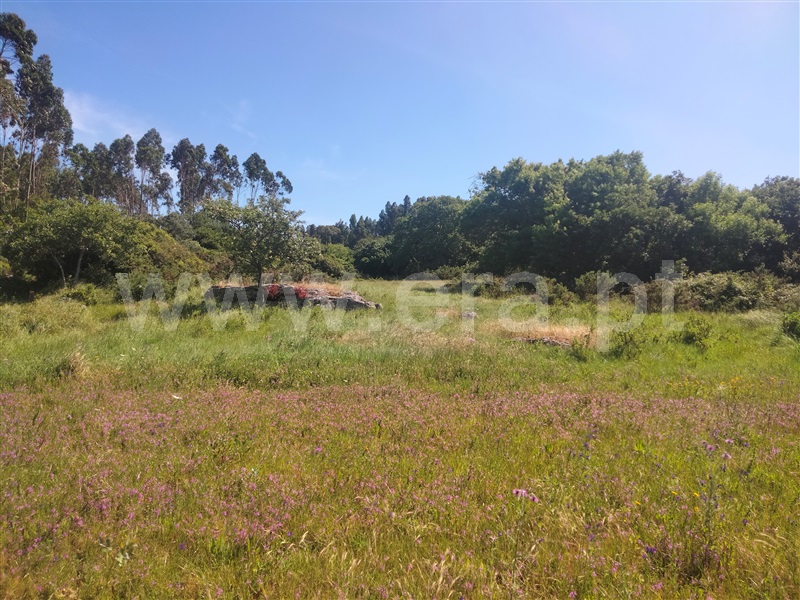 Terreno Rústico  Lourinhã, São Bartolomeu dos Galegos e Moledo - 1483446 - 7