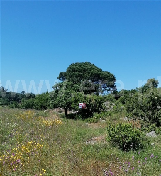 Terreno Rústico  Lourinhã, São Bartolomeu dos Galegos e Moledo - 1483448 - 1