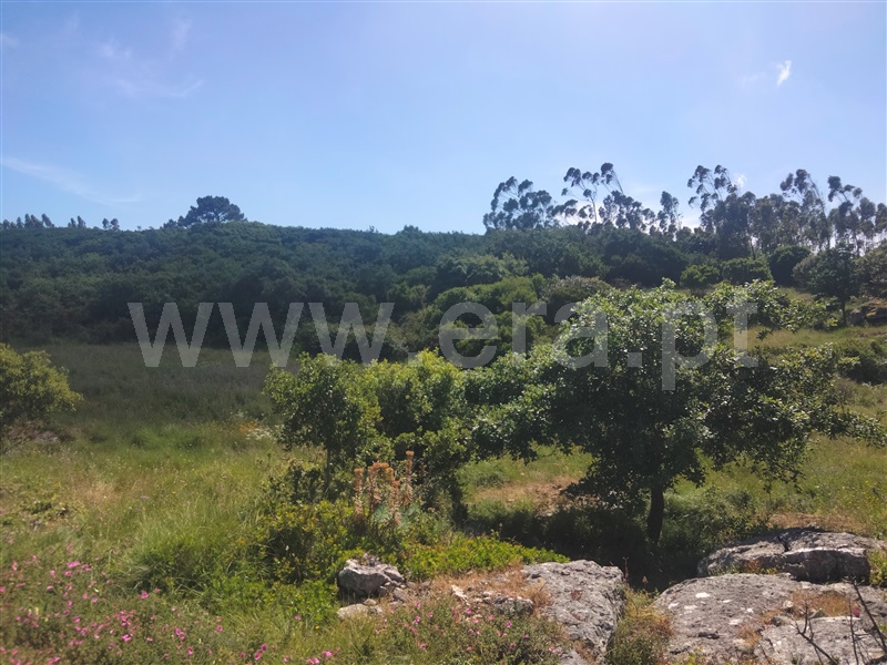 Terreno Rústico  Lourinhã, São Bartolomeu dos Galegos e Moledo - 1483448 - 8