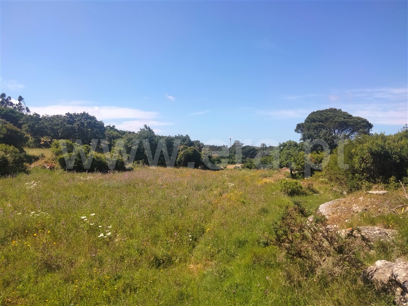 Terreno Rústico  Lourinhã, São Bartolomeu dos Galegos e Moledo - 1483449 - 7