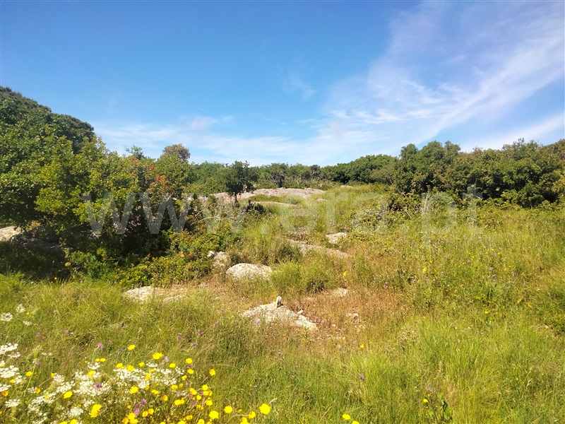 Terreno Rústico  Lourinhã, São Bartolomeu dos Galegos e Moledo - 1483449 - 9
