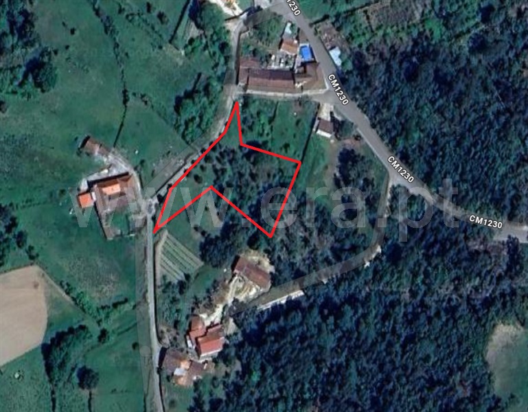 Terreno Rústico / Lousã, Serpins