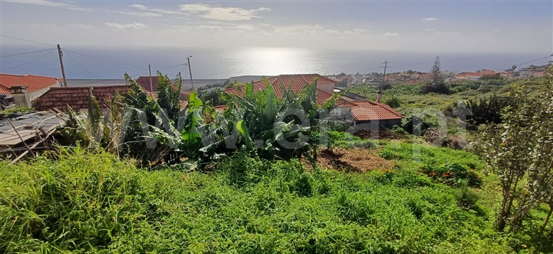 Terreno Rústico  Machico, Água de Pena - 1383900 - 8