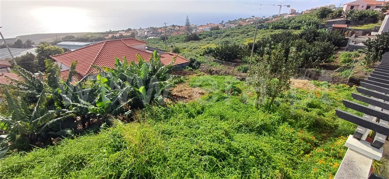Terreno Rústico  Machico, Água de Pena - 1383900 - 10