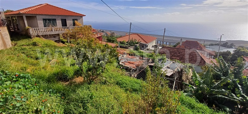 Terreno Rústico  Machico, Água de Pena - 1383900 - 11