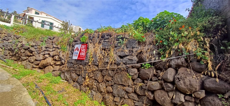 Terreno Rústico  Machico, Água de Pena - 1383900 - 14