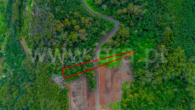 Terreno Rústico / Machico, Água de Pena