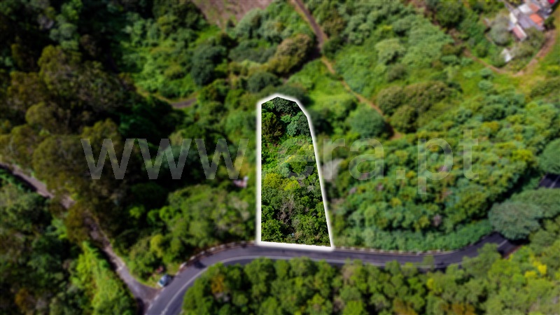 Terreno Rústico / Machico, Santo António da Serra
