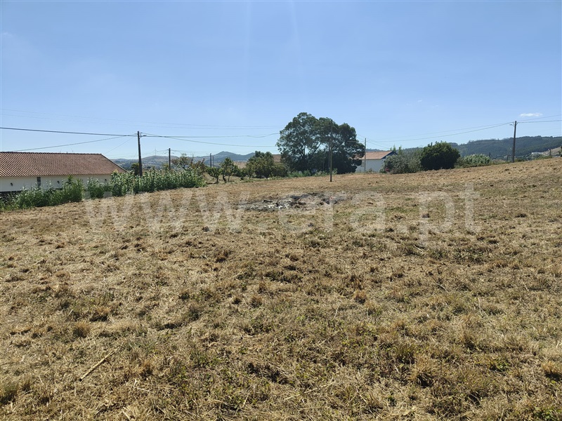 Terreno Rústico / Mafra, Azueira e Sobral da Abelheira